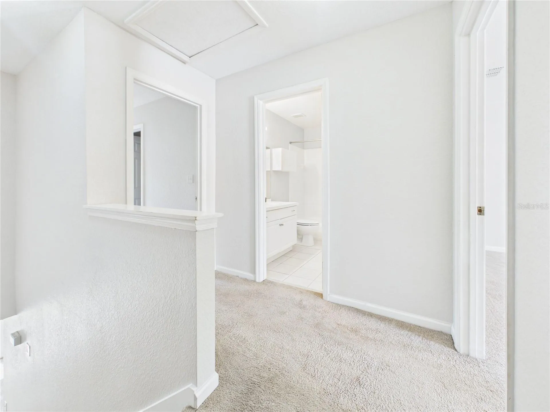 16310 Fairford Palms Court Tampa FL 33647
