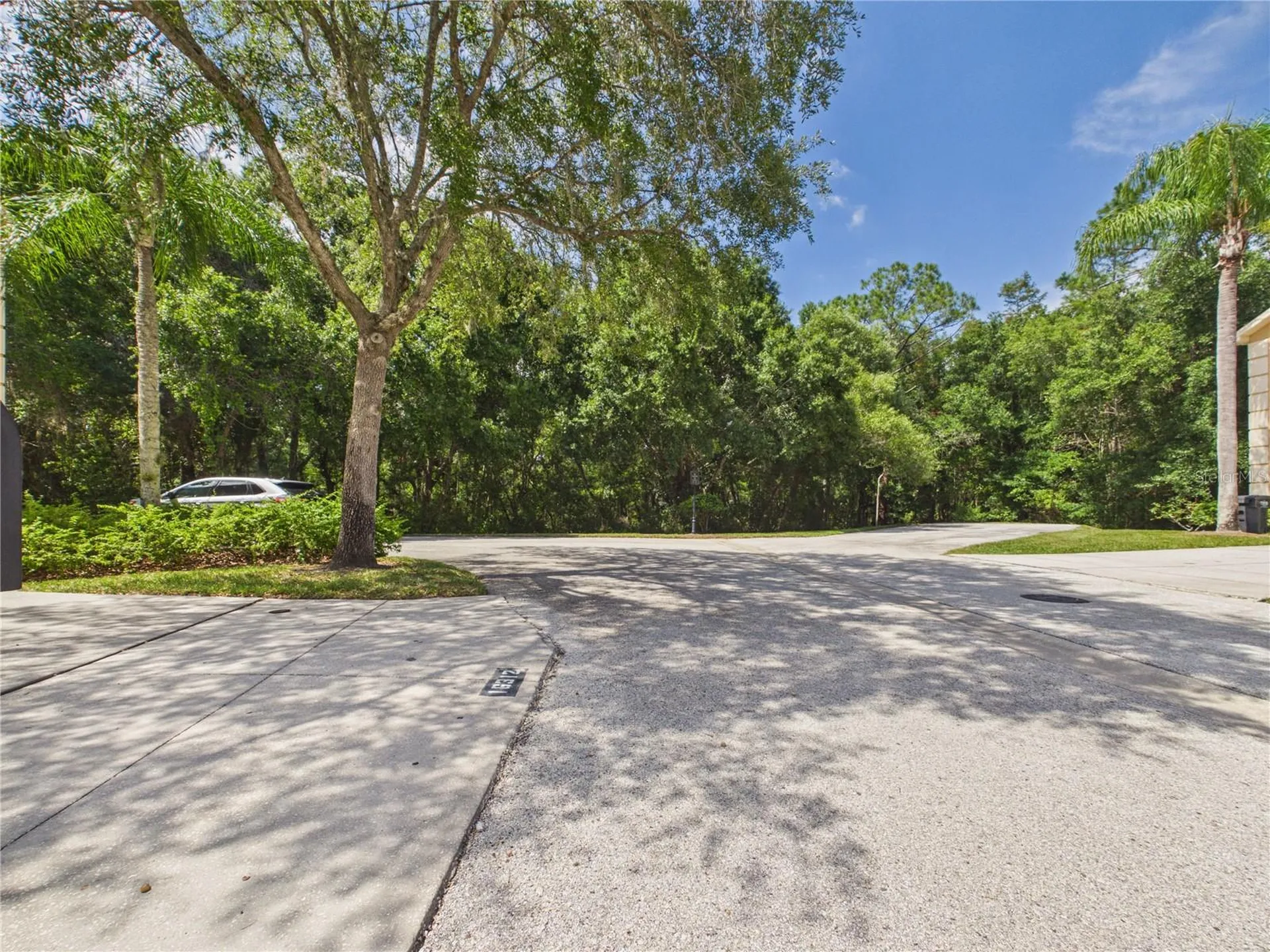 16310 Fairford Palms Court Tampa FL 33647