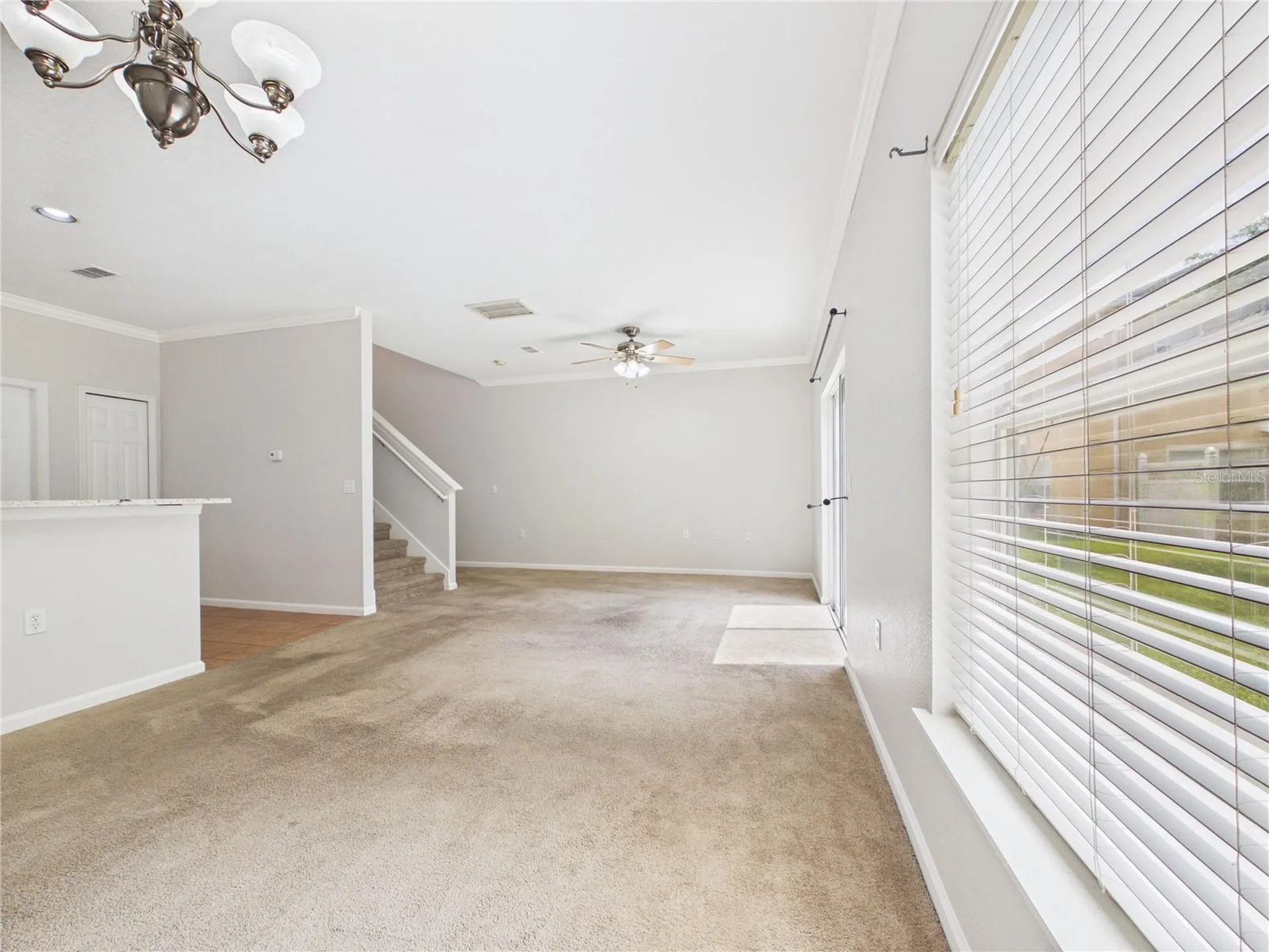 16310 Fairford Palms Court Tampa FL 33647