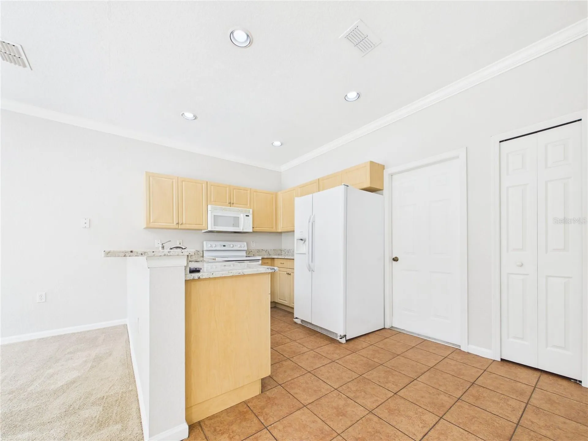 16310 Fairford Palms Court Tampa FL 33647
