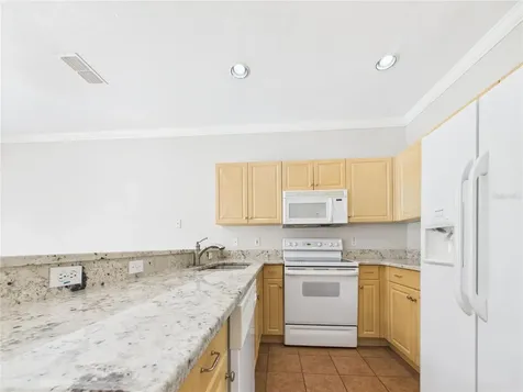 16310 Fairford Palms Court Tampa FL 33647