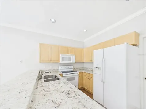 16310 Fairford Palms Court Tampa FL 33647
