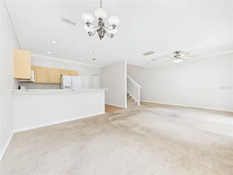 16310 Fairford Palms Court Tampa FL 33647