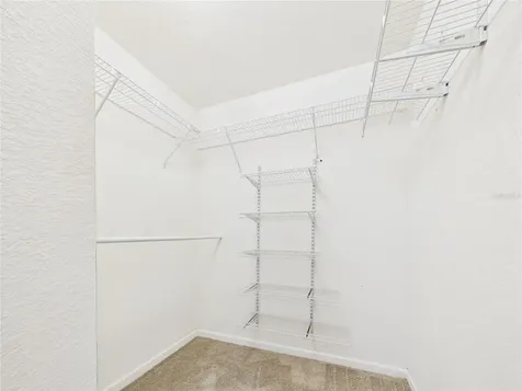 16310 Fairford Palms Court Tampa FL 33647