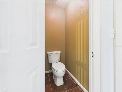 16310 Fairford Palms Court Tampa FL 33647