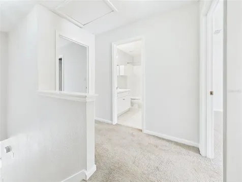 16310 Fairford Palms Court Tampa FL 33647