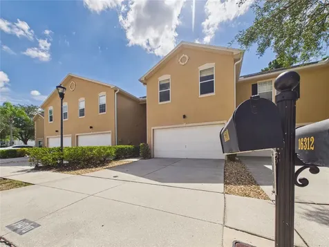 16310 Fairford Palms Court Tampa FL 33647