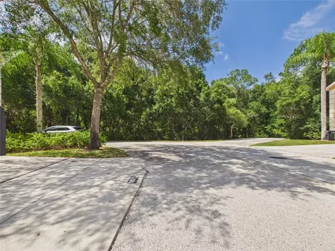 16310 Fairford Palms Court Tampa FL 33647