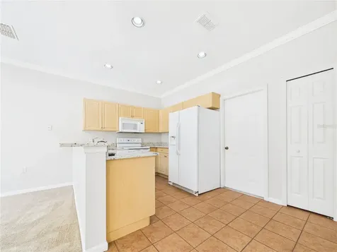 16310 Fairford Palms Court Tampa FL 33647