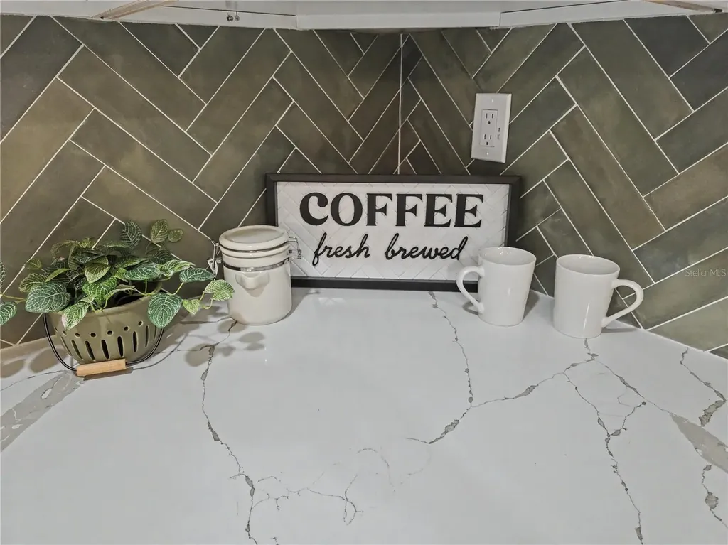 10204 Tranquil Lane Odessa FL 33556