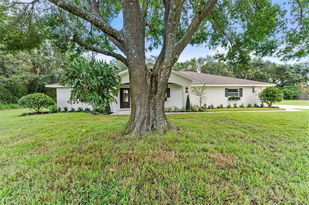 10204 Tranquil Lane Odessa FL 33556