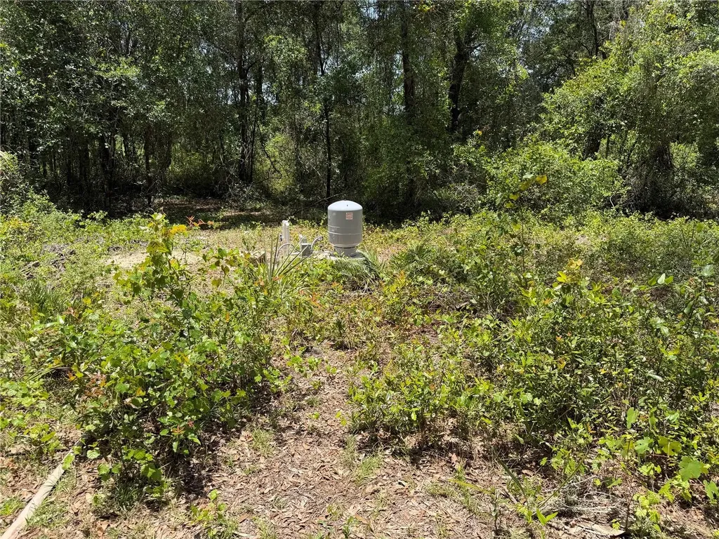 1988 SE 161st Avenue Ocklawaha FL 32179