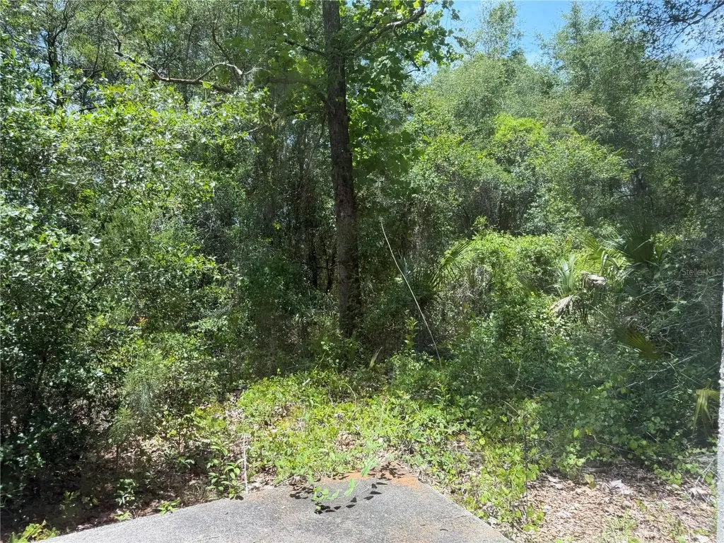 1988 SE 161st Avenue Ocklawaha FL 32179