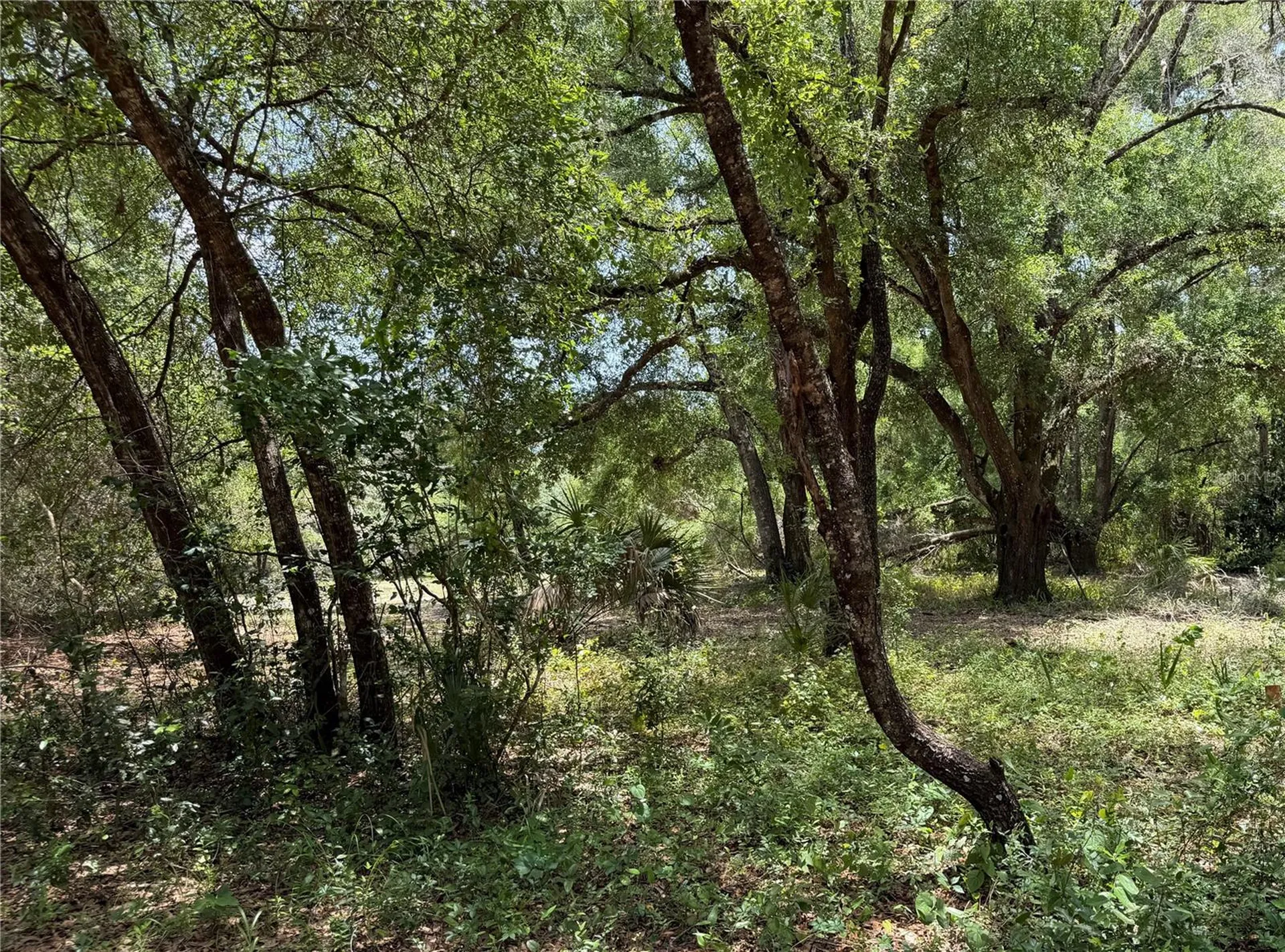 1988 SE 161st Avenue Ocklawaha FL 32179