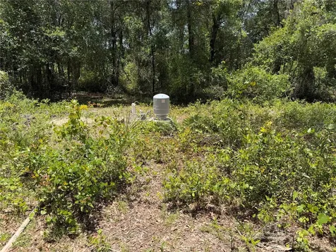 1988 SE 161st Avenue Ocklawaha FL 32179