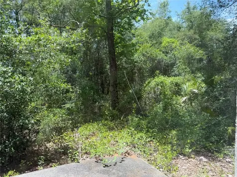 1988 SE 161st Avenue Ocklawaha FL 32179