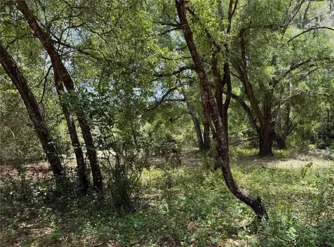 1988 SE 161st Avenue Ocklawaha FL 32179