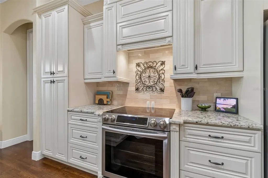 10035 Remington Drive Riverview FL 33578