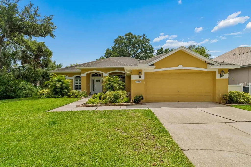 10035 Remington Drive Riverview FL 33578