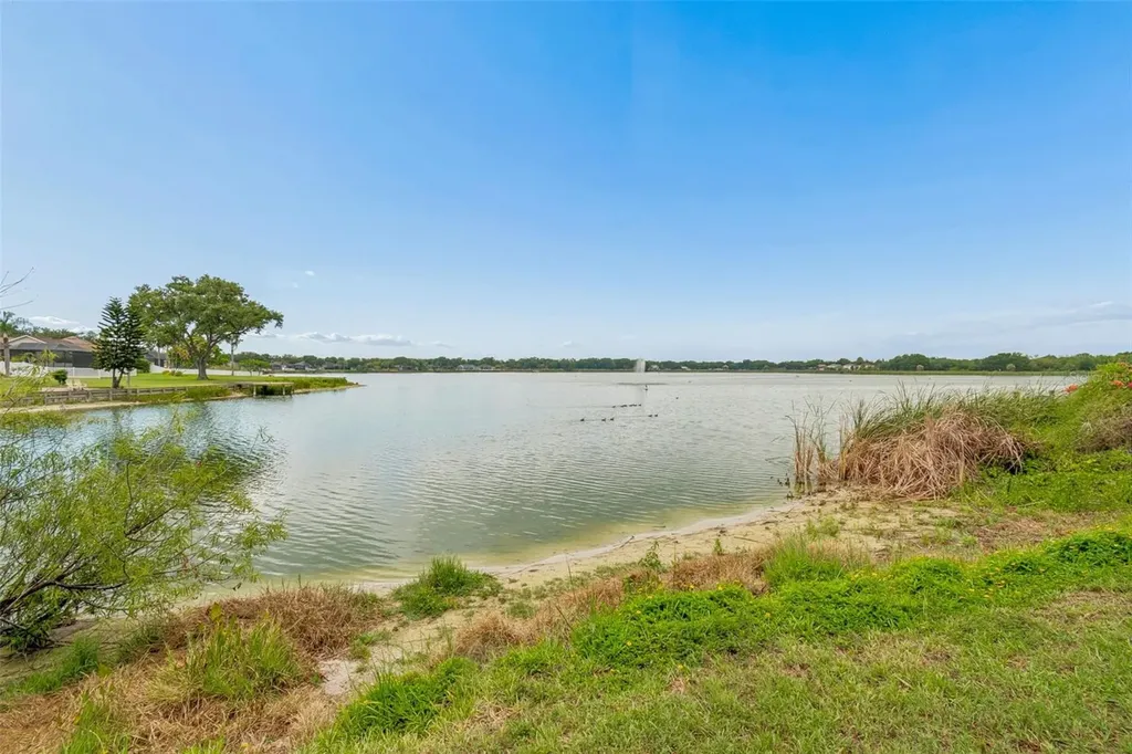 10035 Remington Drive Riverview FL 33578