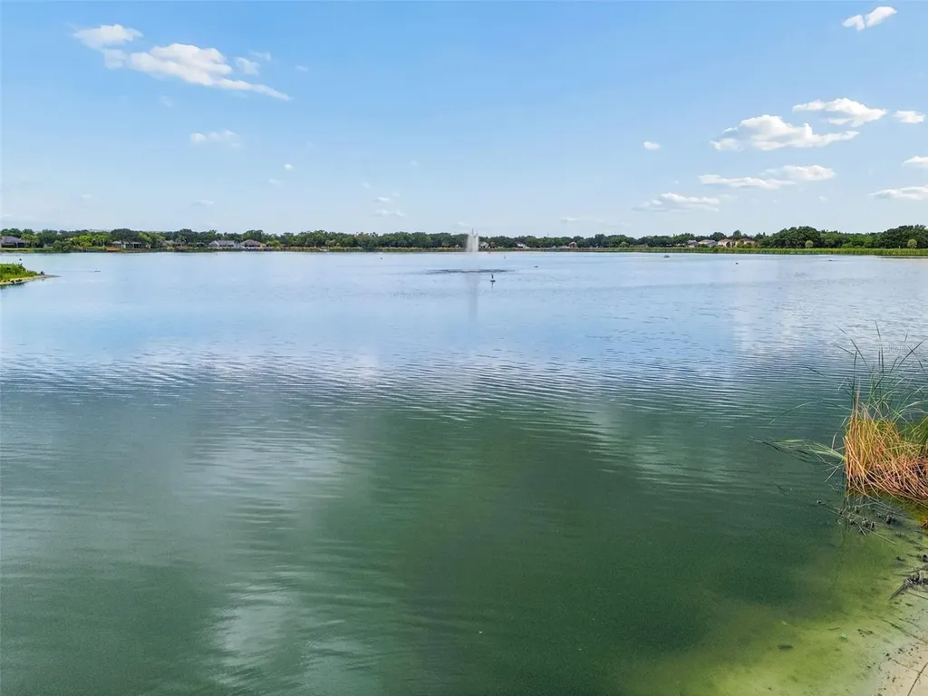 10035 Remington Drive Riverview FL 33578
