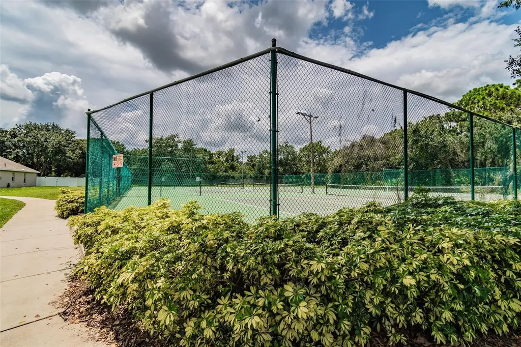 10035 Remington Drive Riverview FL 33578