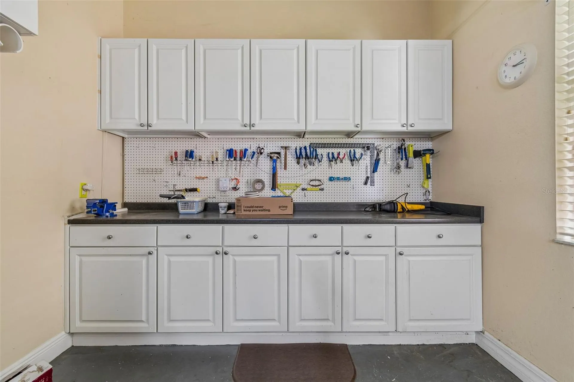 10035 Remington Drive Riverview FL 33578