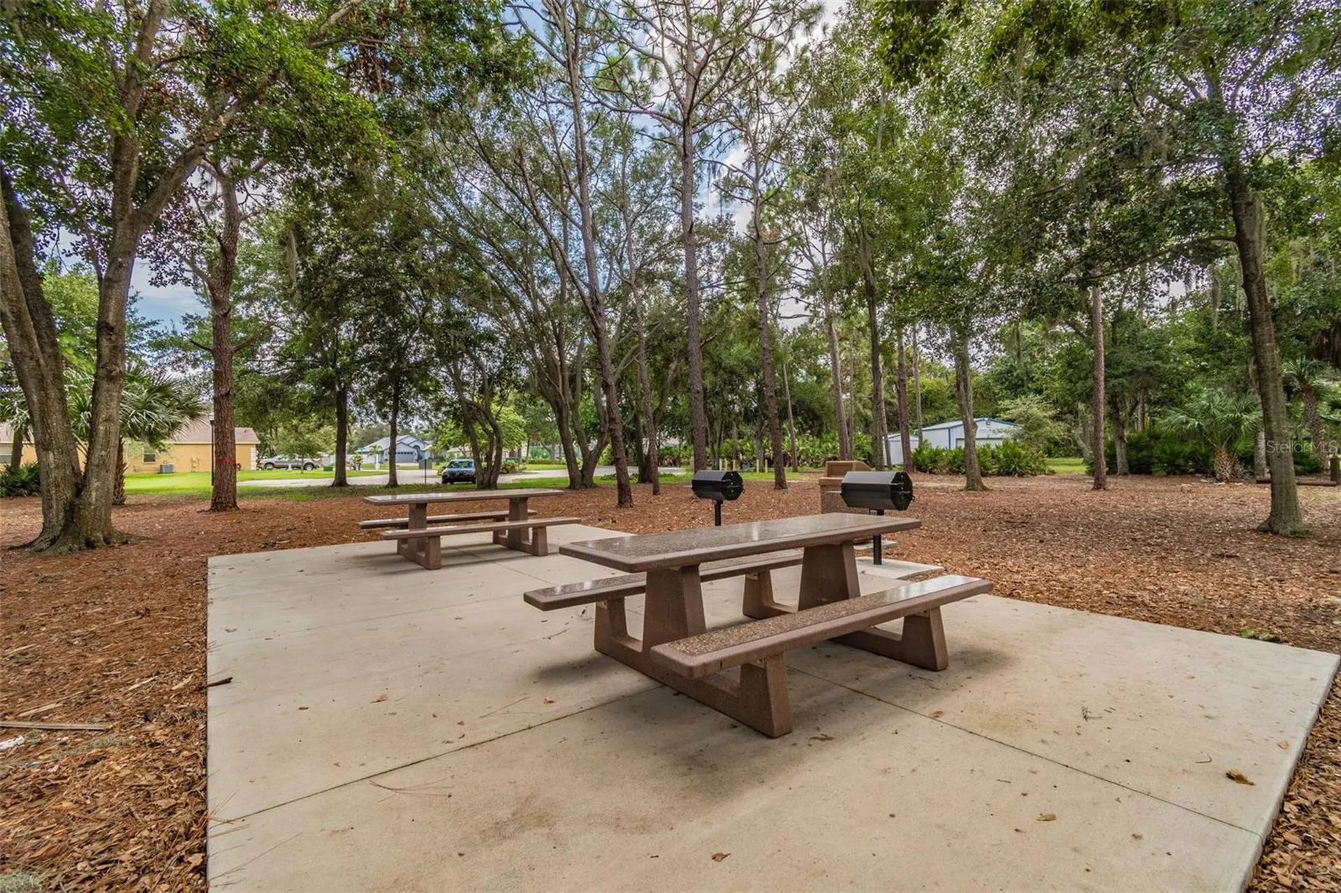 10035 Remington Drive Riverview FL 33578
