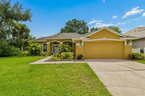 10035 Remington Drive Riverview FL 33578