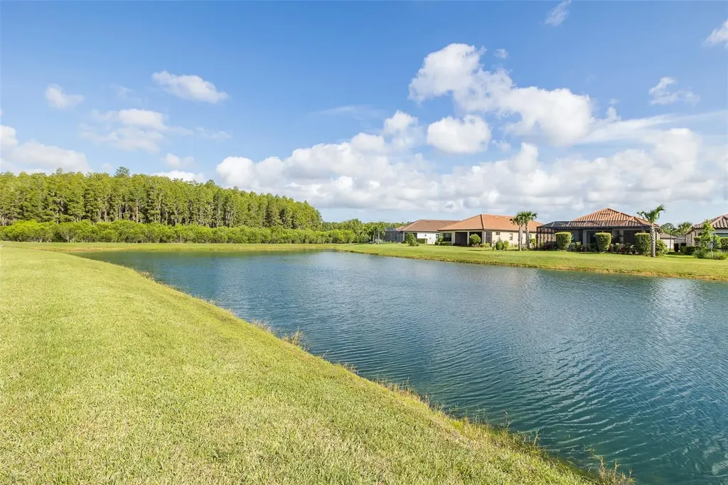 11121 Egeria Drive Odessa FL 33556