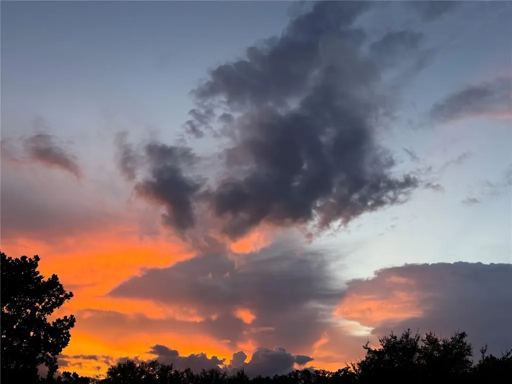 8872 Bridgeport Bay Circle Mount Dora FL 32757