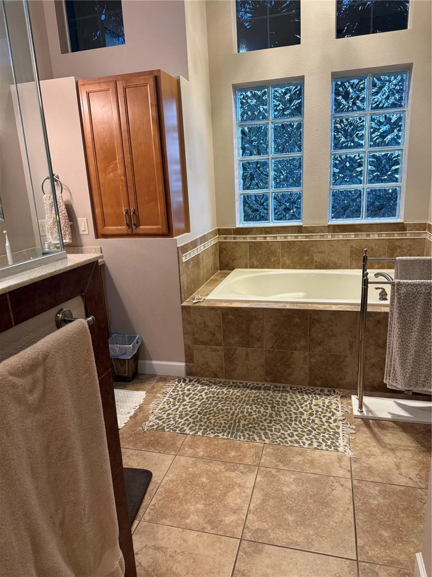 8872 Bridgeport Bay Circle Mount Dora FL 32757