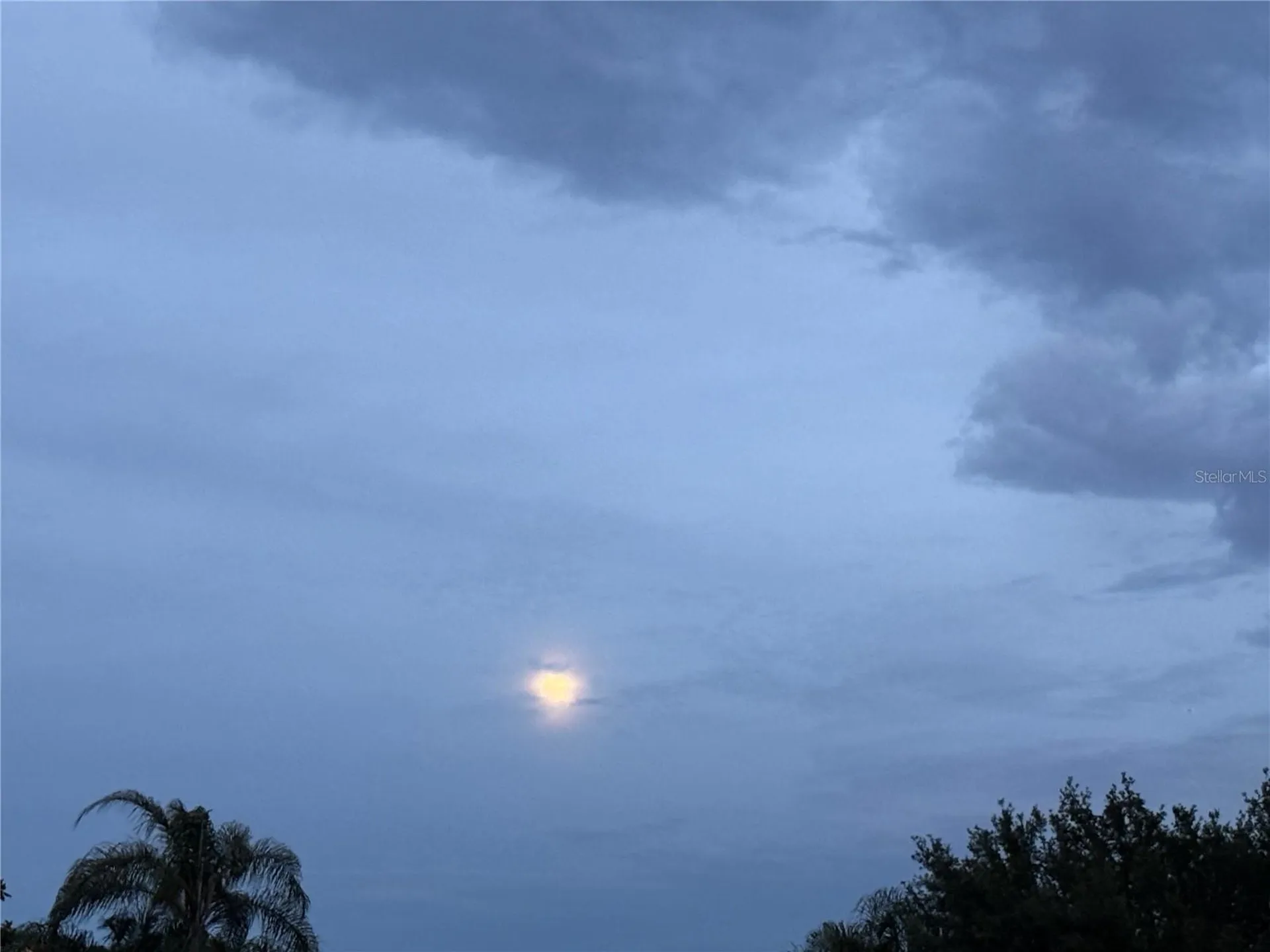 8872 Bridgeport Bay Circle Mount Dora FL 32757