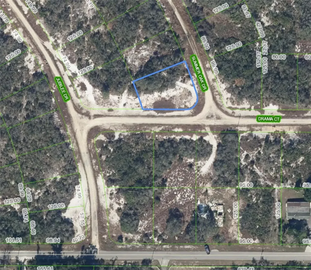 110 Summer Oak Drive Lake Placid FL 33852