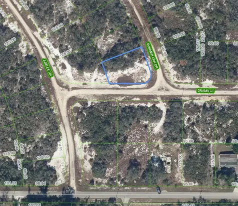 110 Summer Oak Drive Lake Placid FL 33852