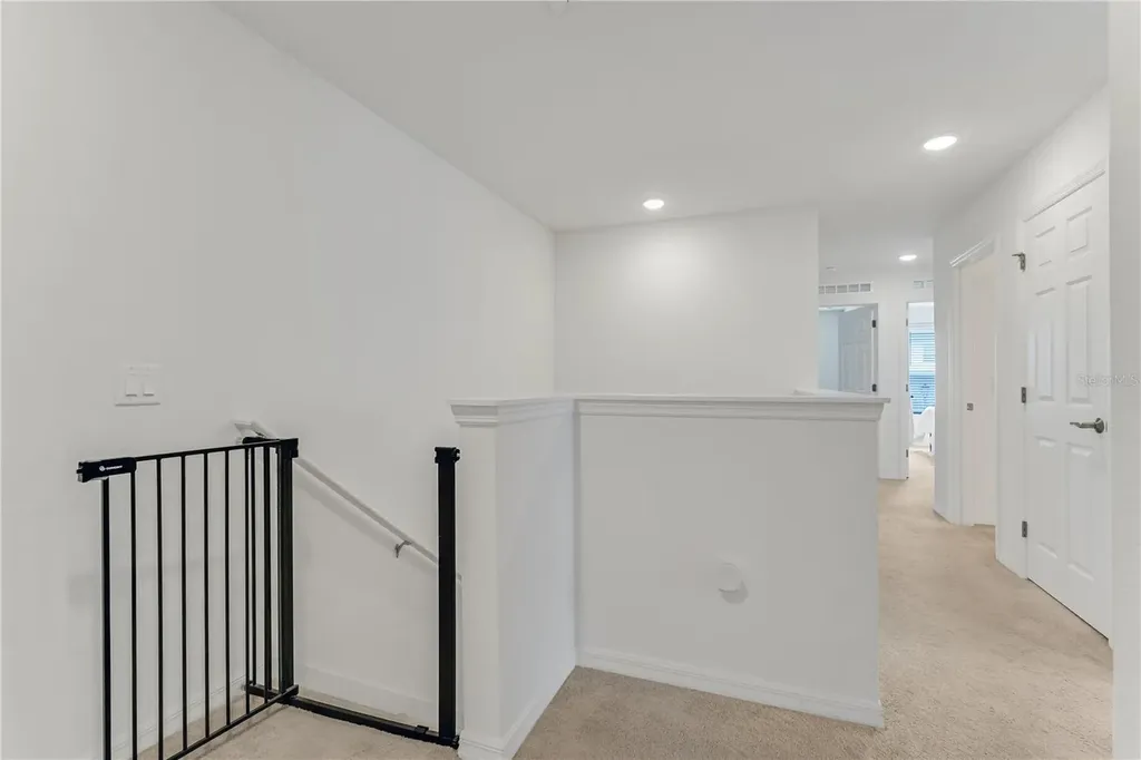 3205 Amaranth Street Tavares FL 32778