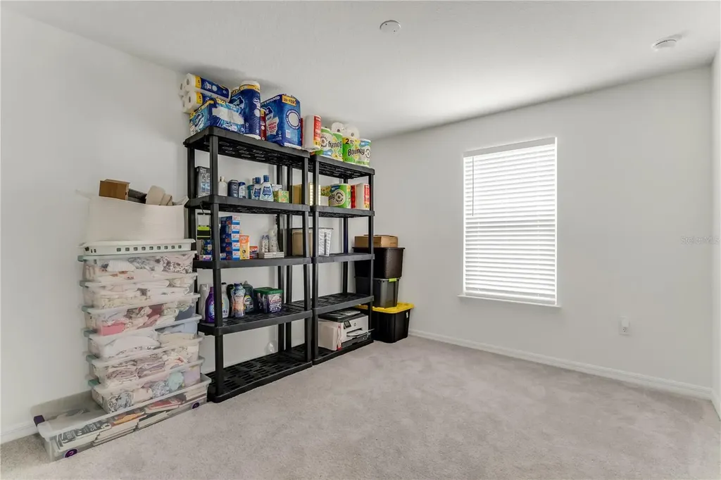 3205 Amaranth Street Tavares FL 32778