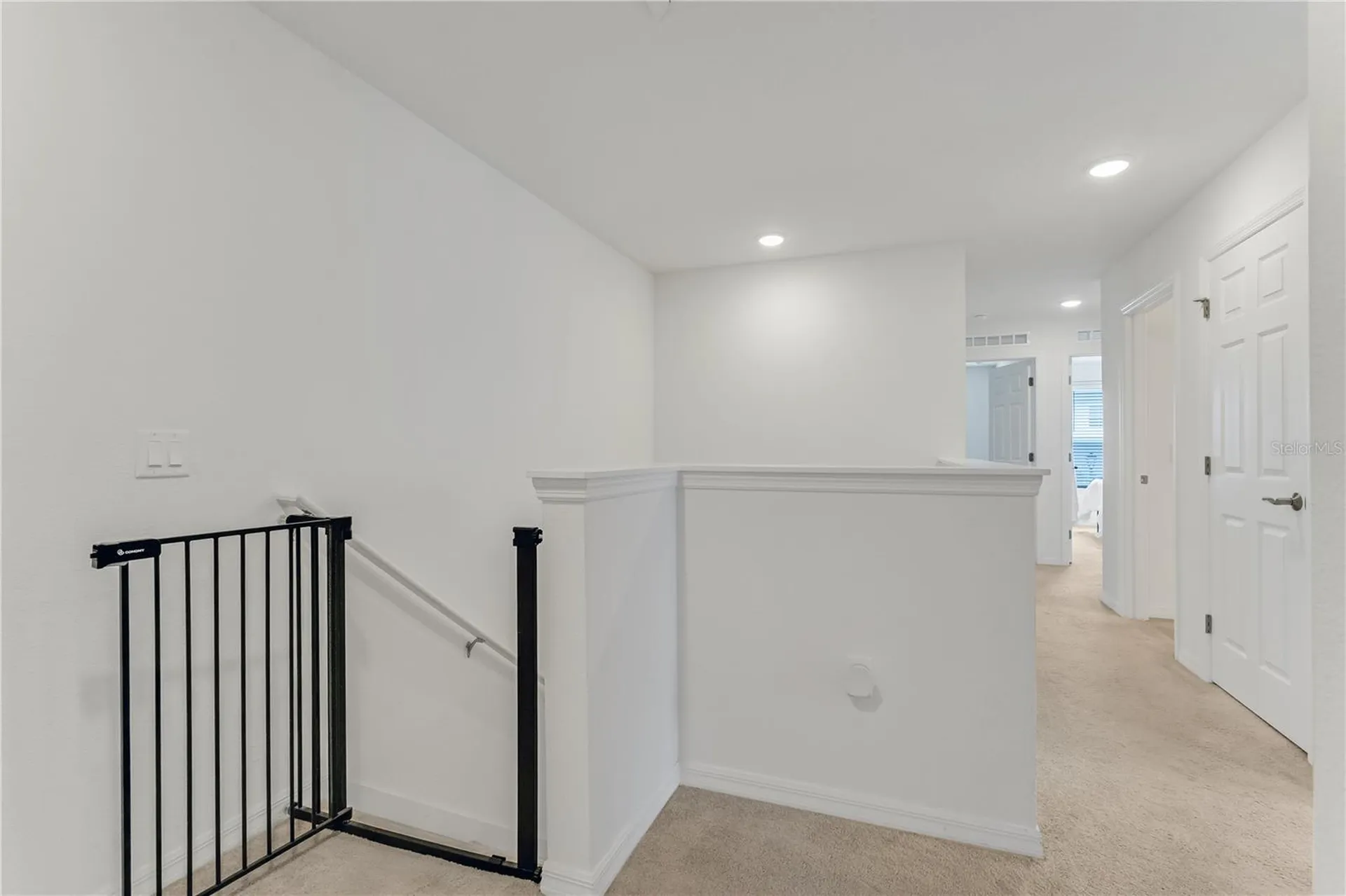 3205 Amaranth Street Tavares FL 32778