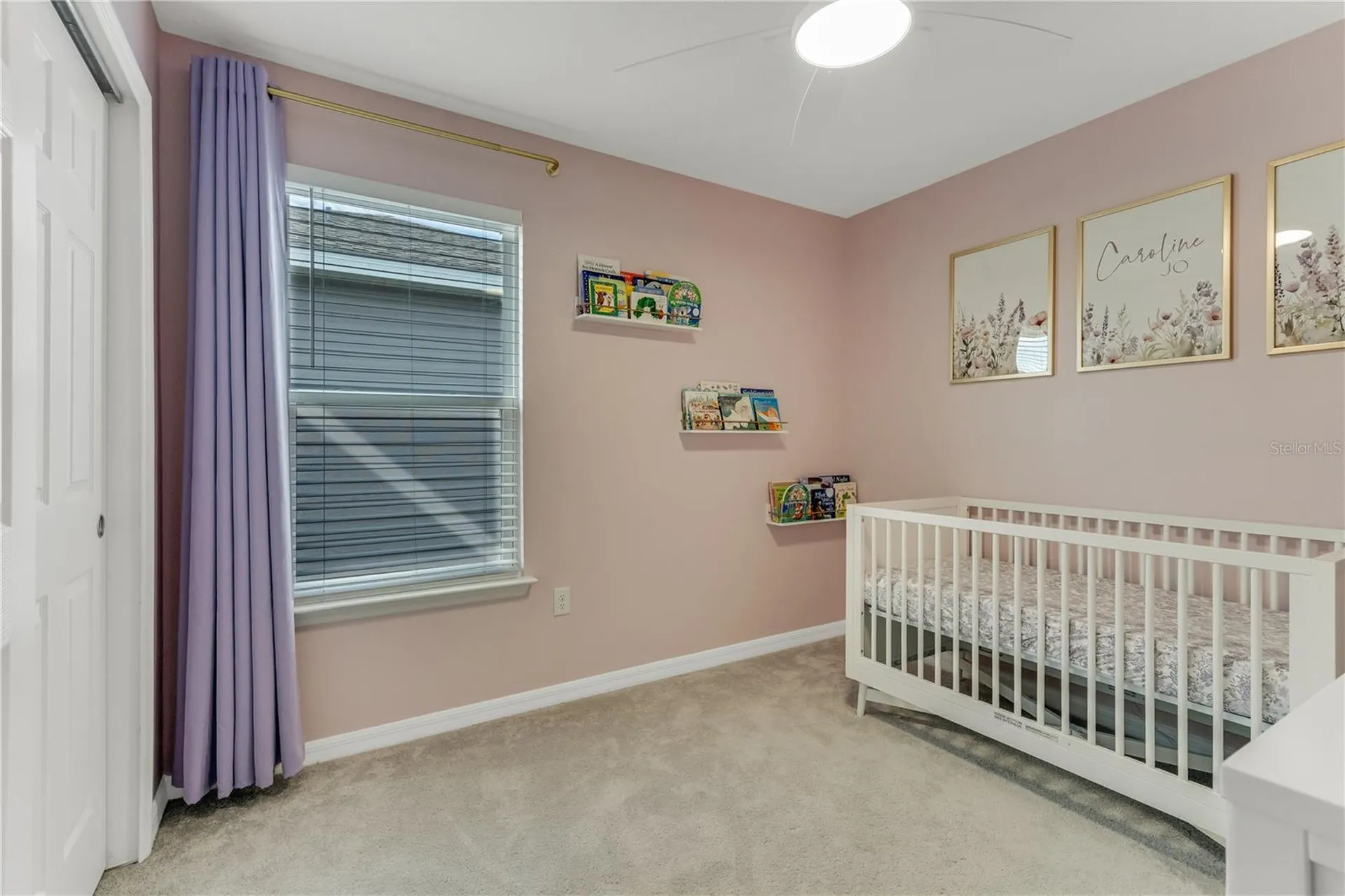 3205 Amaranth Street Tavares FL 32778