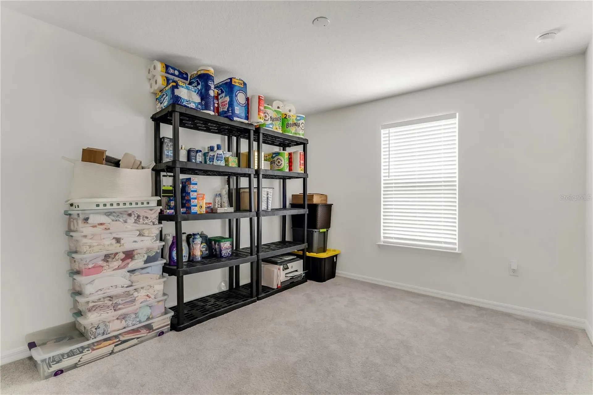 3205 Amaranth Street Tavares FL 32778