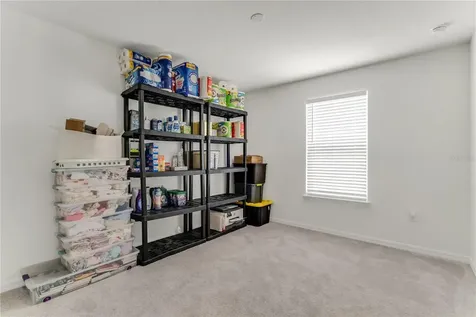 3205 Amaranth Street Tavares FL 32778