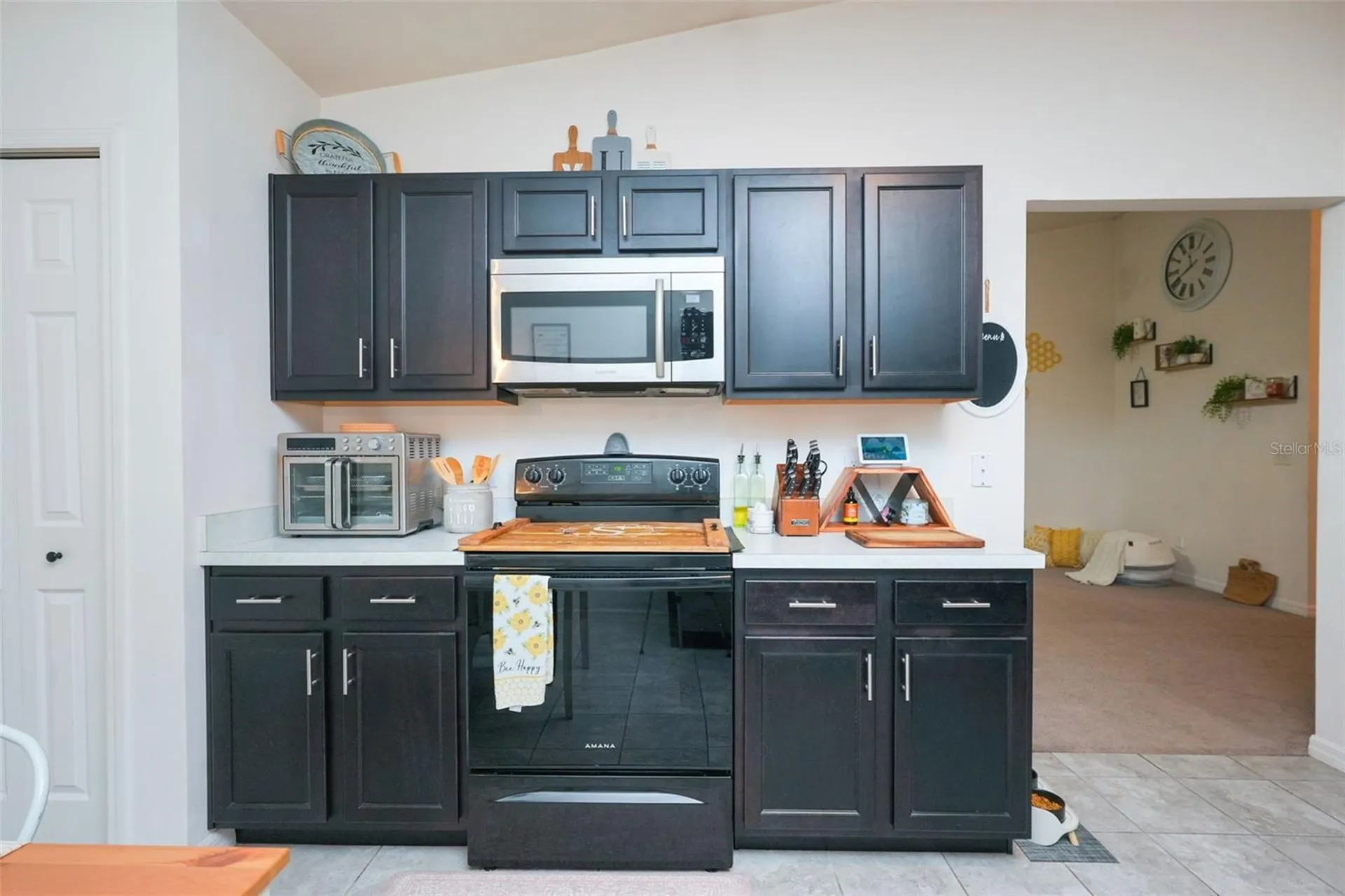 1537 Baywood Village Court Mount Dora FL 32757