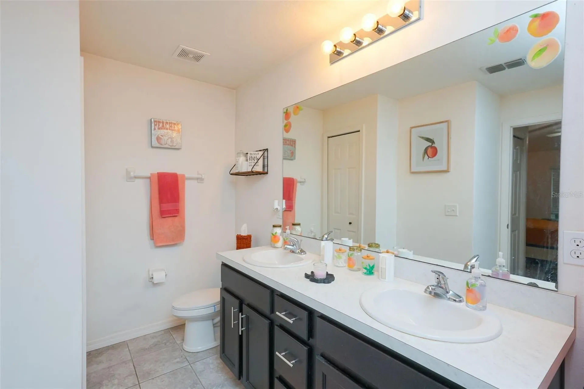 1537 Baywood Village Court Mount Dora FL 32757