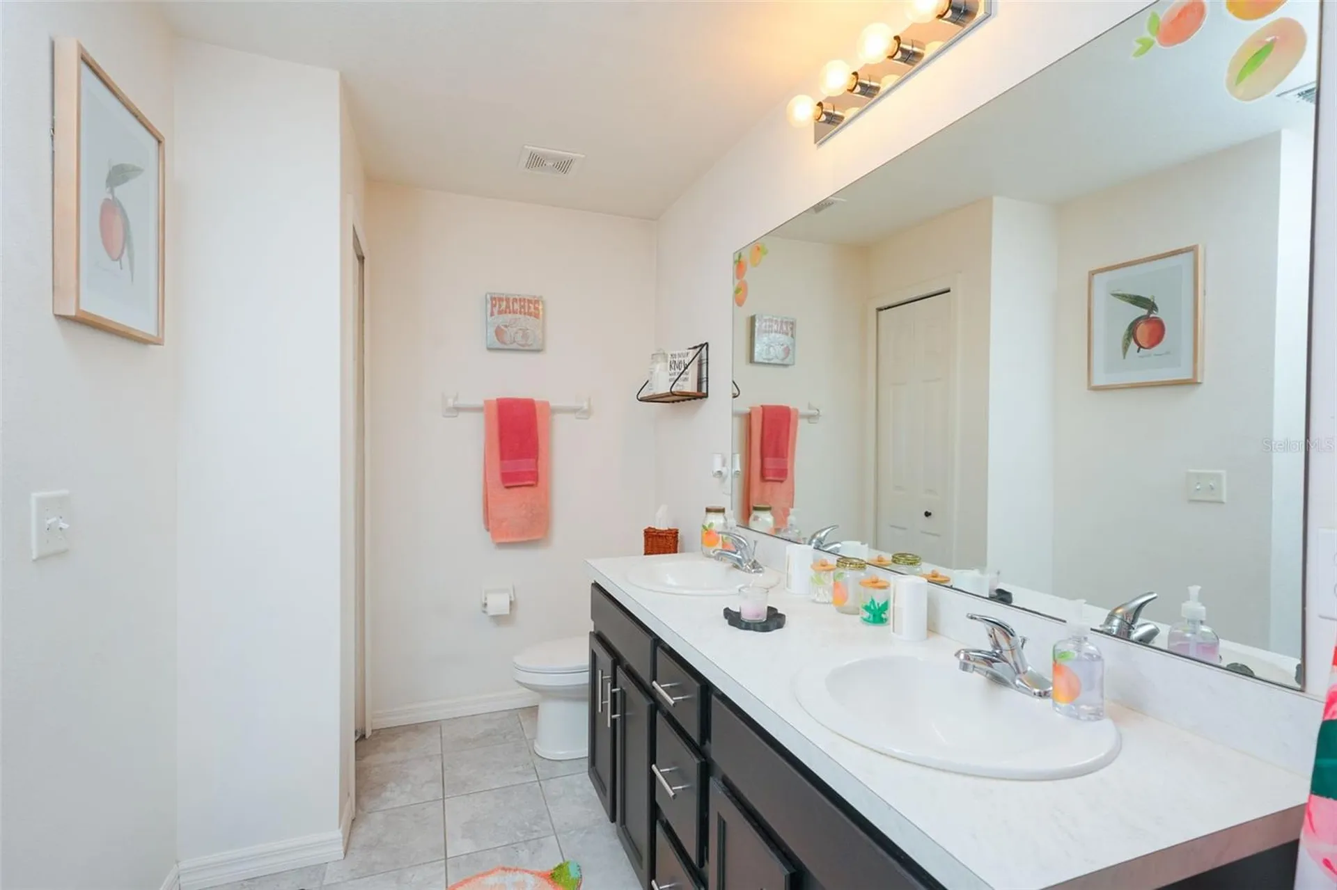 1537 Baywood Village Court Mount Dora FL 32757