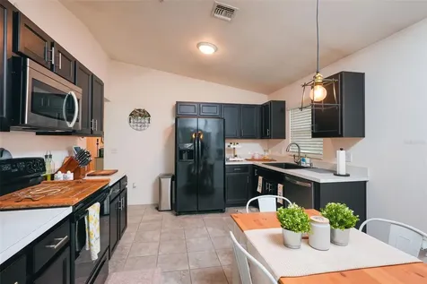 1537 Baywood Village Court Mount Dora FL 32757