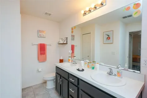 1537 Baywood Village Court Mount Dora FL 32757