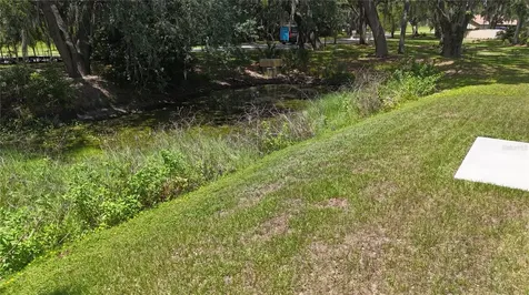 1537 Baywood Village Court Mount Dora FL 32757