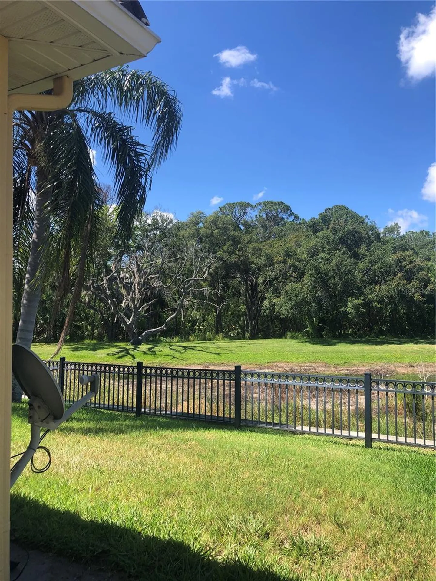 4704 Casswell Drive New Port Richey FL 34652