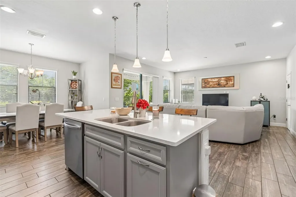 17576 Terrazzo Way Land O Lakes FL 34638