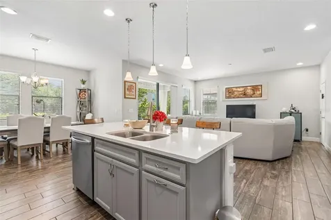 17576 Terrazzo Way Land O Lakes FL 34638